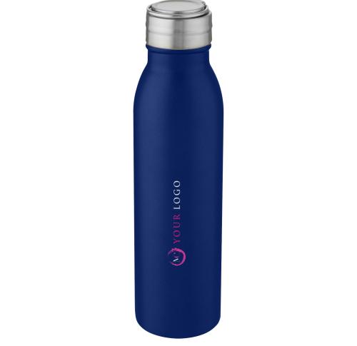 Custom Stainless Steel Sports Bottles With Metal Loop 700 Ml 