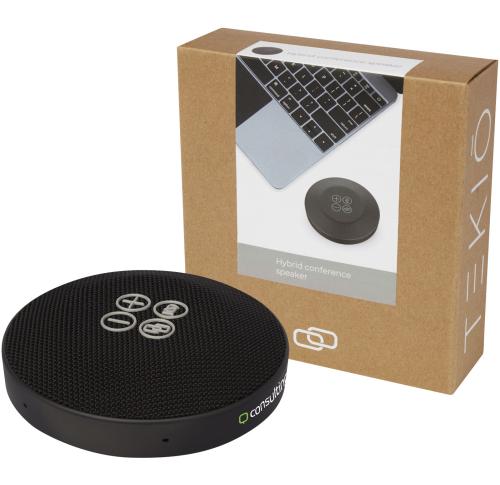 Hybrid conference speaker