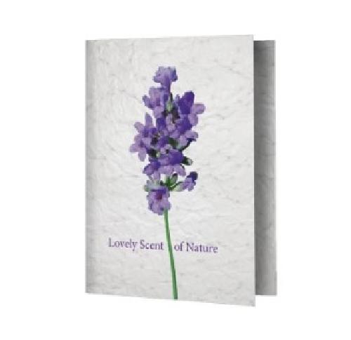 Promotional Printed Seed Paper Greeting Cards A6 Size