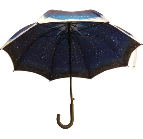 Printed Executive Walking Double Canopy Automatic Crook Handle Umbrellas