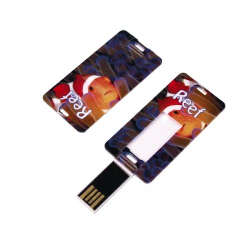 Card Tag USB FlashDrive                           