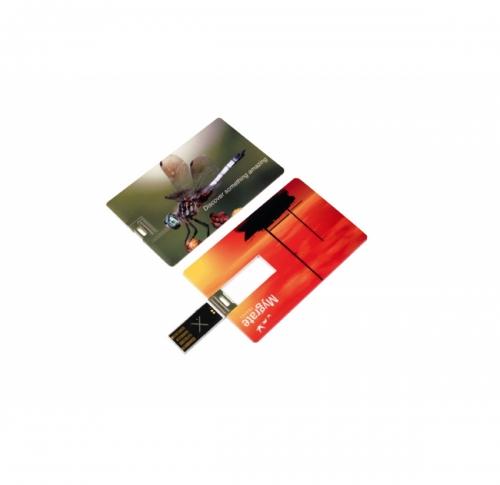 Custom Logo Credit Card Wafer 2 USB FlashDrive                       