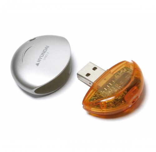 Disk USB FlashDrive                               