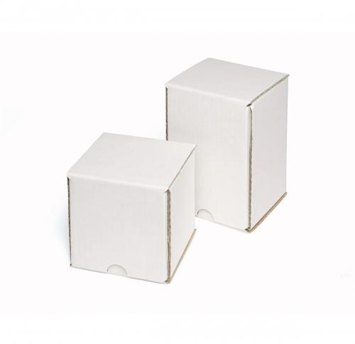 Single White Mailing Carton                       