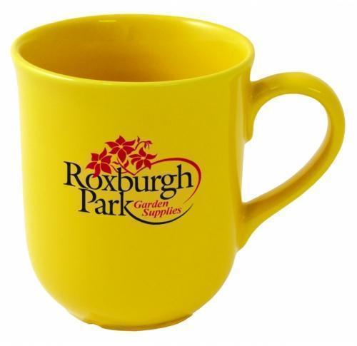 Earthenware Citrus Budget Mug